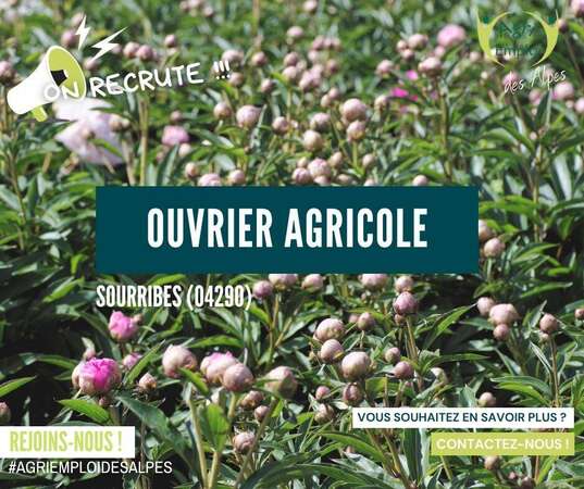 Photo de l'actualité OUVRIER AGRICOLE F/H