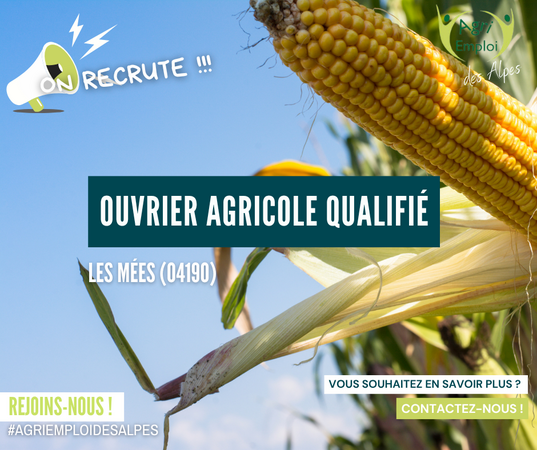 Photo de l'actualit OUVRIER AGRICOLE QUALIFIE  F/H